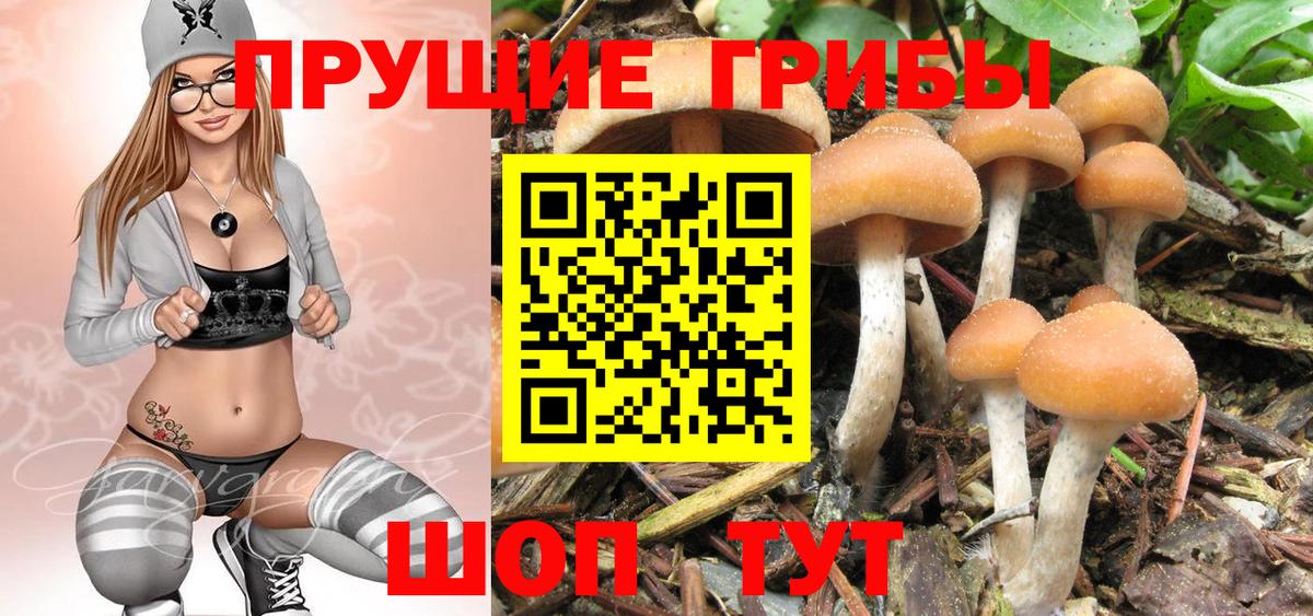 Майкоп  Галлюциногенные грибы Psilocybe  Вход с VPN  Псилоцибиновые грибы мухоморы 
